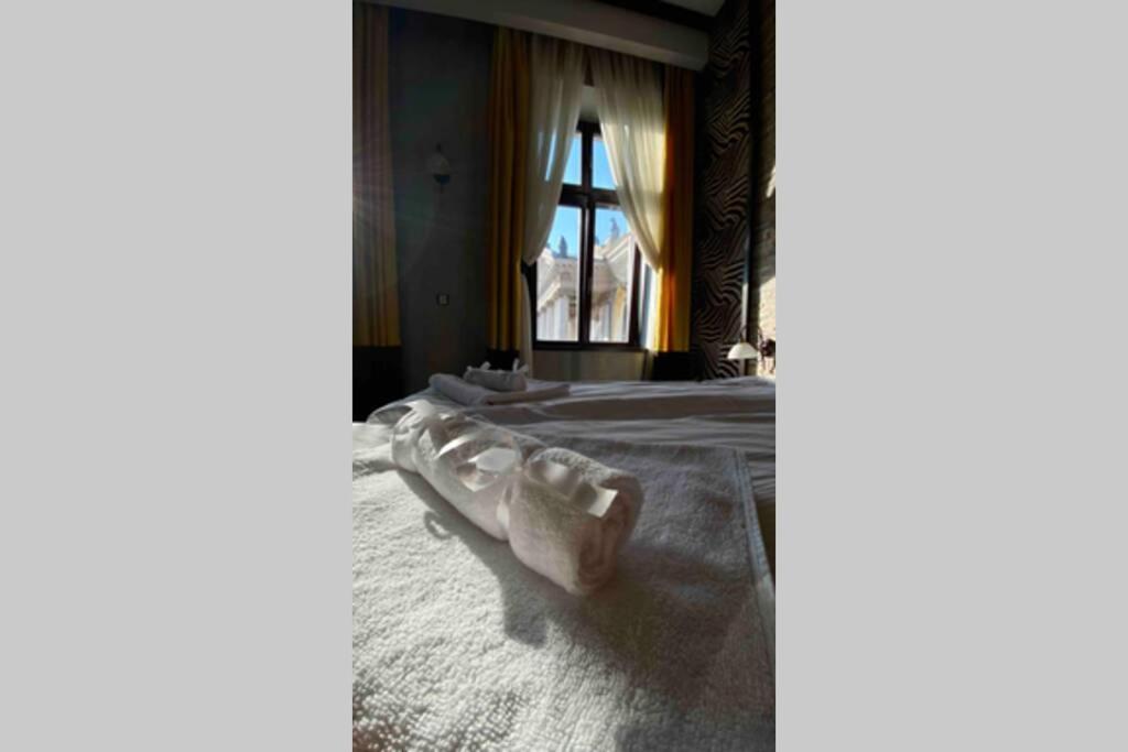 Safari Royal Apartment Oradea Ngoại thất bức ảnh